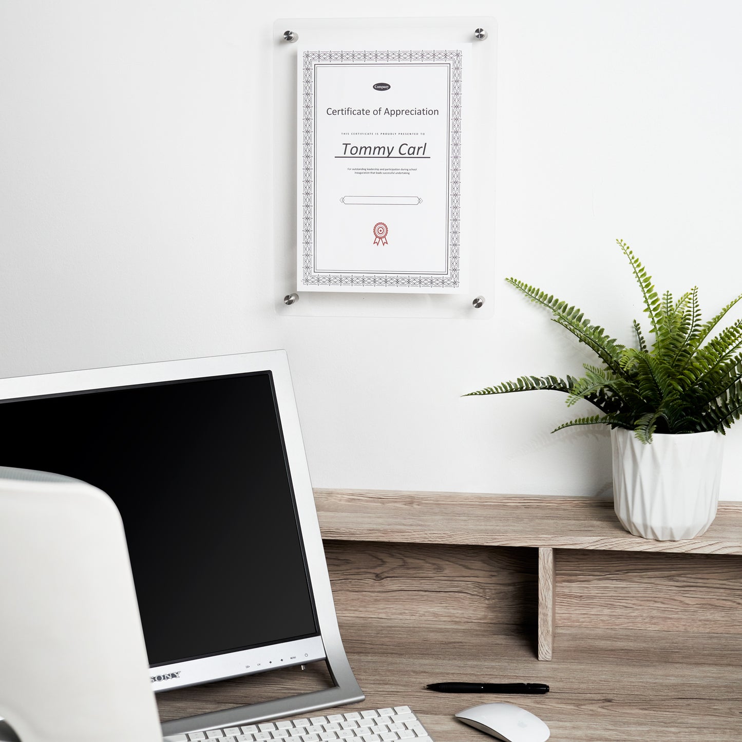 Scribble Wall Mounted Clear Acrylic Photo/Certificate Frame for A4 Prints